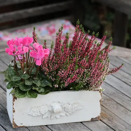 Altes Schulhaus In Der Lueneburger Heide * Lachendorf