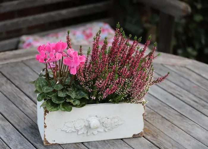 Altes Schulhaus In Der Lueneburger Heide * Lachendorf