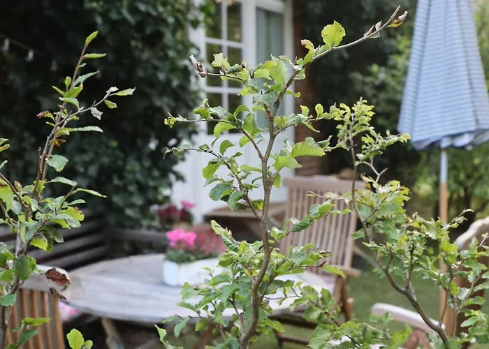 Altes Schulhaus In Der Lueneburger Heide Appartamento Lachendorf